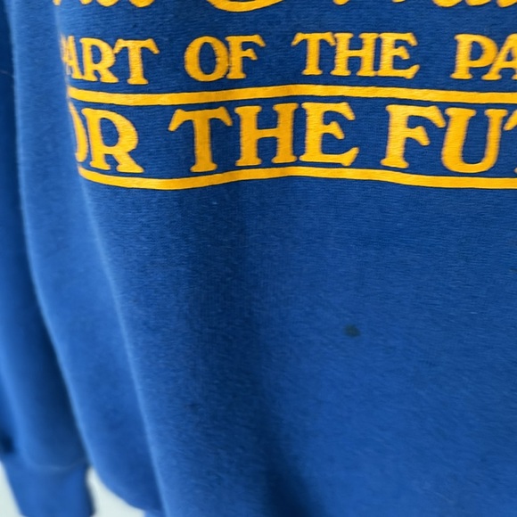 Vintage Jerzees Old Main Crewneck Sweatshirt - Picture 12 of 14